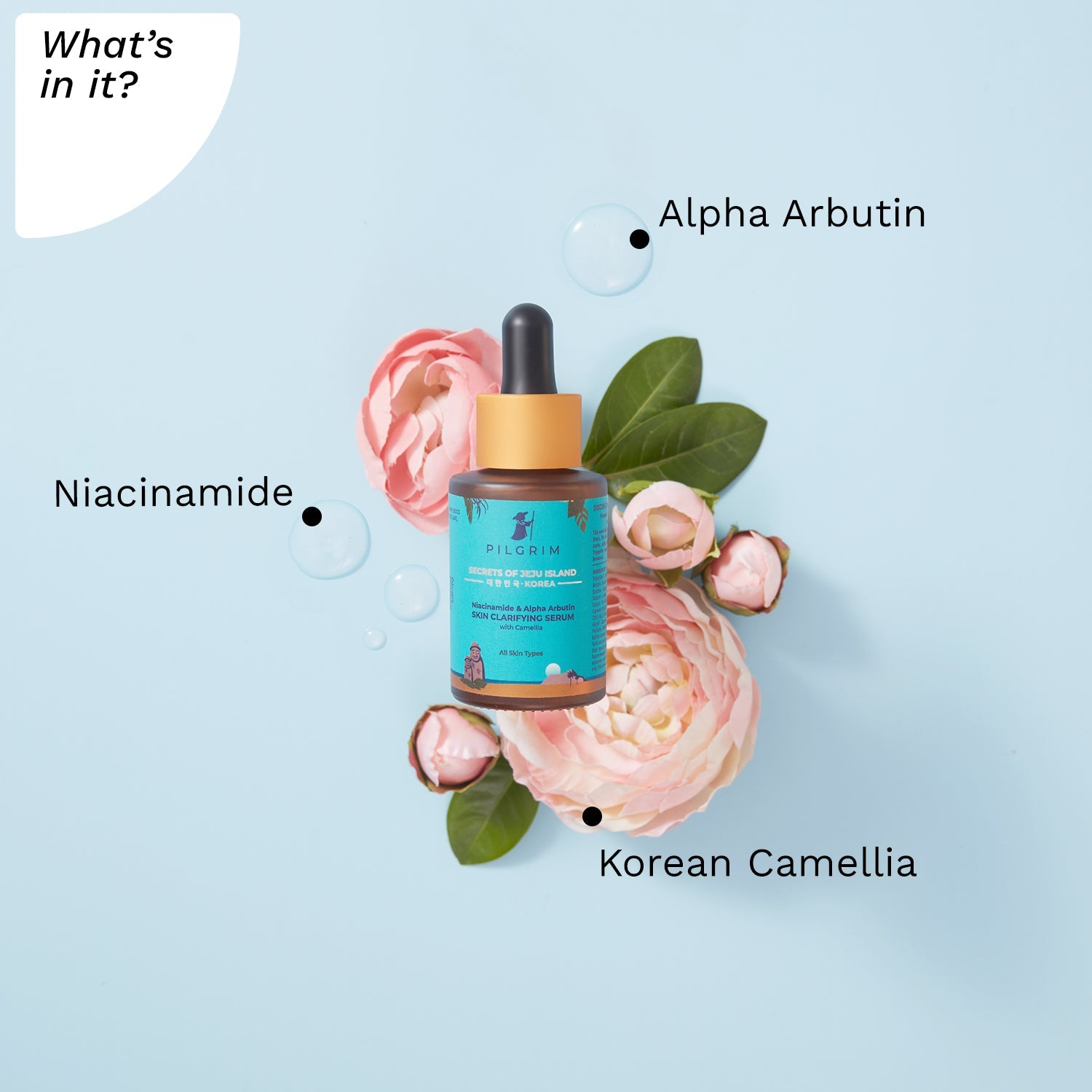 Niacinamide 5% + Alpha Arbutin 1% Skin Clarifying Serum for acne & acne marks 30ml - What&