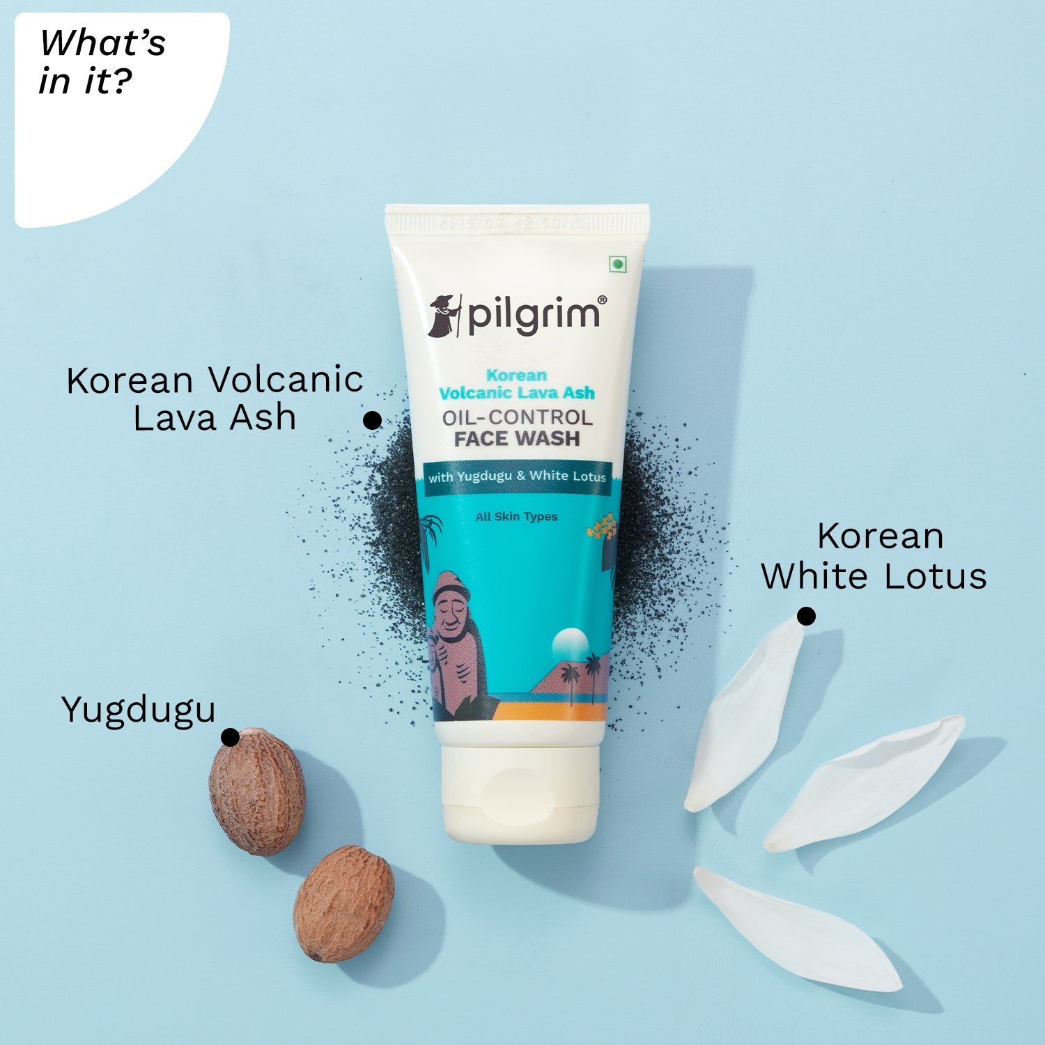 VOLCANIC LAVA ASH OIL CONTROL FACE WASH - Whats In it