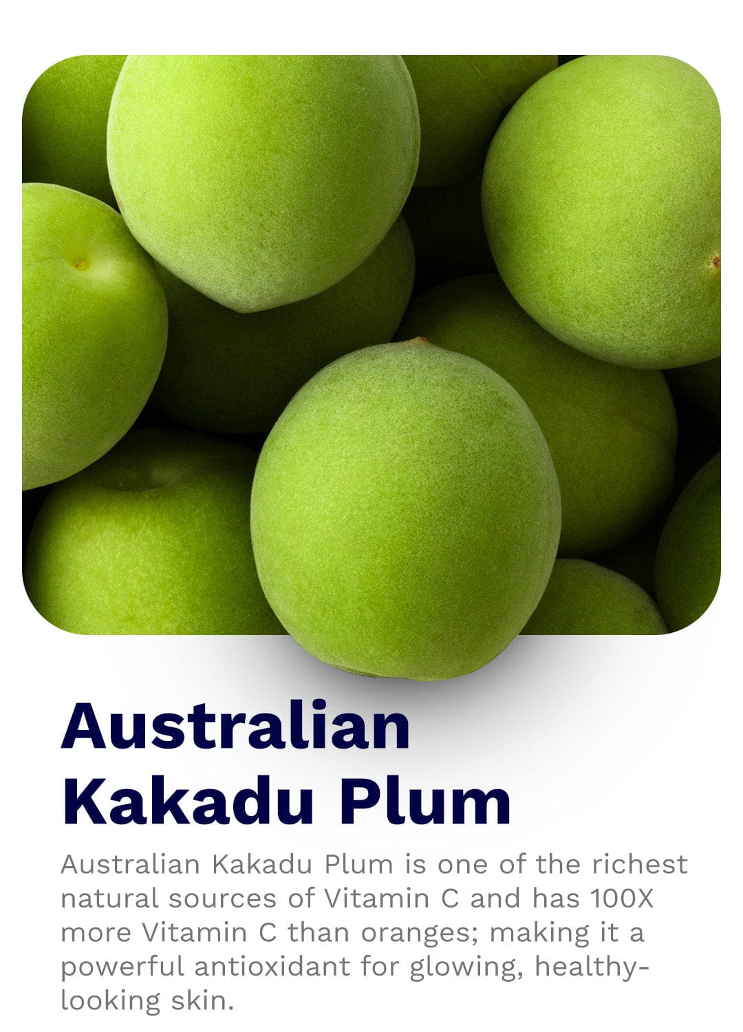 Australian Kakadu Plum Vitamin C Brightening Moisturizer 50g