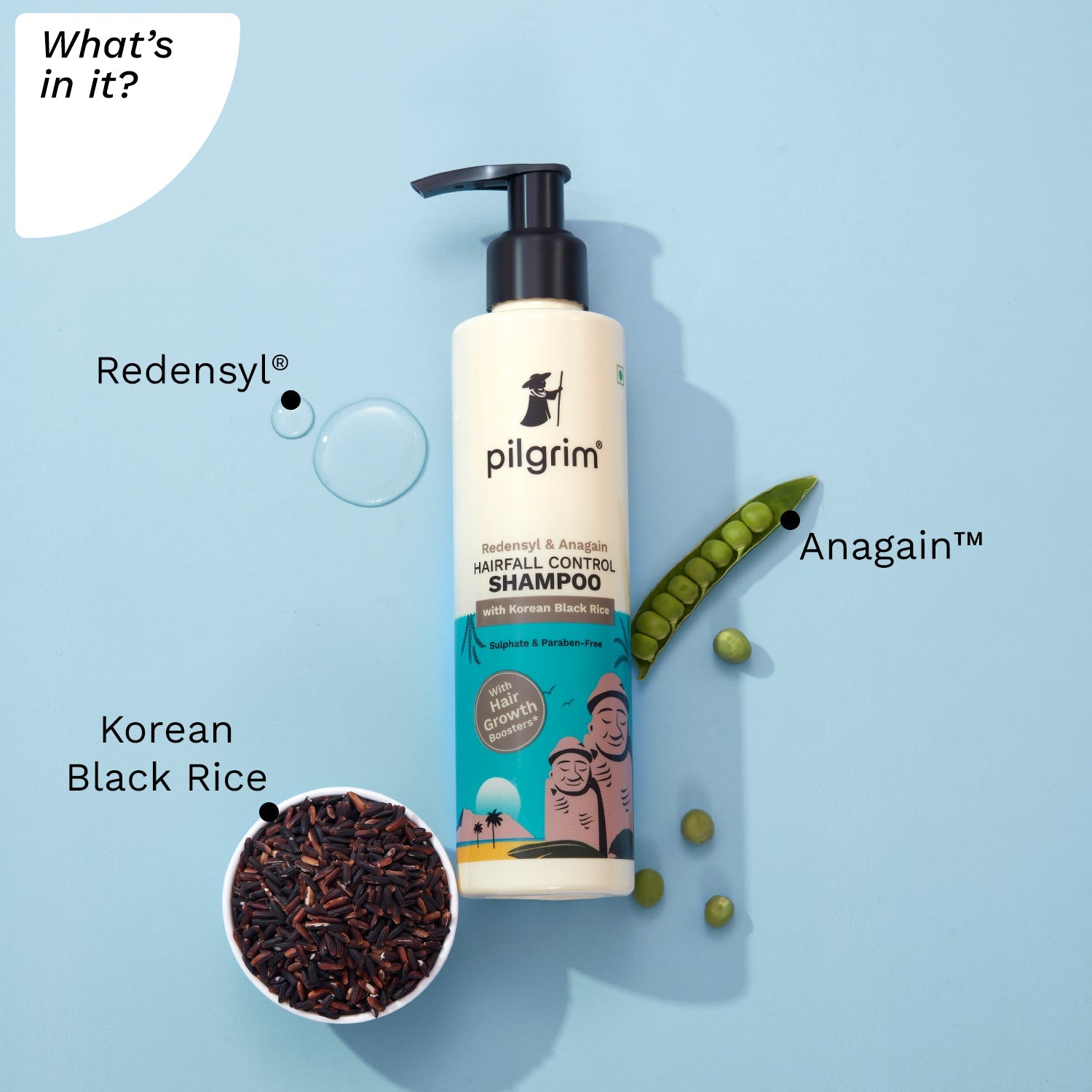  Redensyl &amp; Anagain Hairfall Control Shampoo with Korean Black Rice 200ml | Anti Hairfall shampoo for Men &amp; Women | Reduces Hairfall | Promotes Hair Thickness | For All Hair Types - What&